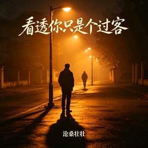 看透你只是个过客