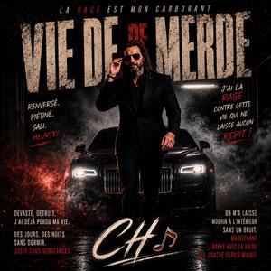 Vie de merde