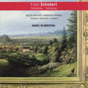 Wanderer-Fantasie, D. 760: IV. Allegro