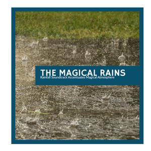 Multi Colored Small Birds