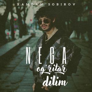 Nega og'ritar dilim
