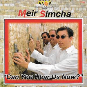 Yisrael (feat. Meir Simcha)