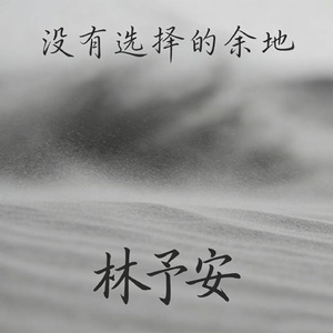 没有选择的余地