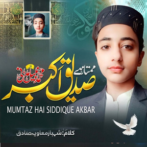 Mumtaz Hai Siddique Akbar