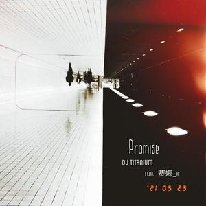 PROMISE ft 赛娜_H