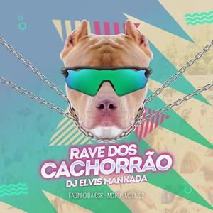 RAVE DOS CACHORRAO