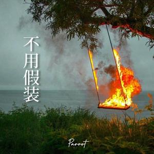 不用假装