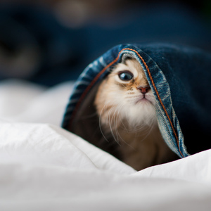 像我这样的人（原唱：毛毛）