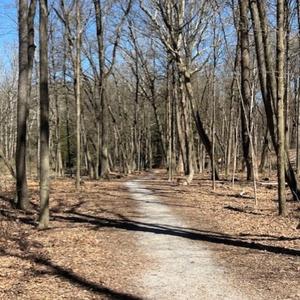 This Too Shall Pass (feat. Billy Montana)