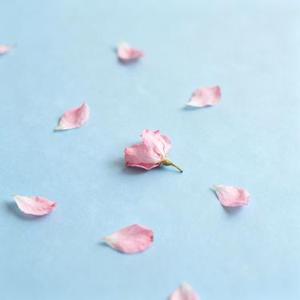 花谢别