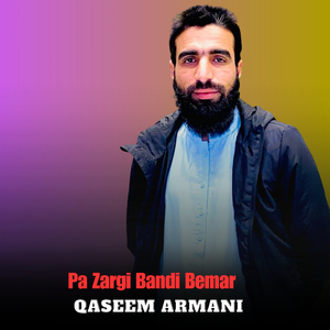 Pa Zargi Bandi Bemar