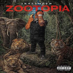 ZOO Stepper