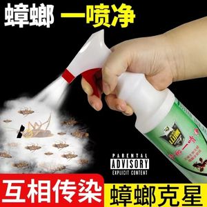 蟑螂药