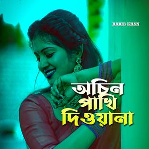 অচিন পাখি দিওয়ানা