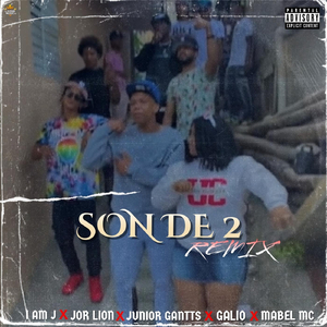 Son de 2 (Remix)