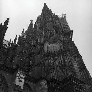 "因为悲痛交加，所以我决定撕裂这该死的痛苦！"