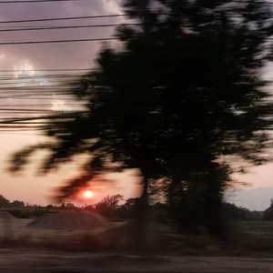 Fluoxetine（Prod.by Whelan）