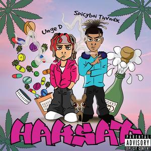 2020 freestyle (feat. gringo9 & Sebo)