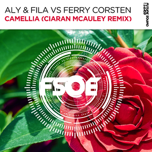 Camellia (Ciaran McAuley Extended Remix)