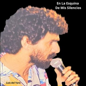 En La Esquina De Mis Silencios
