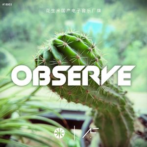Observe(Original Mix)