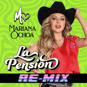 LA PENSIÓN (Re-mix)