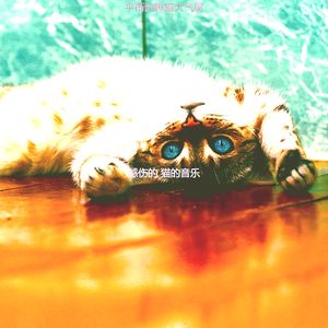 微妙的睡猫心情