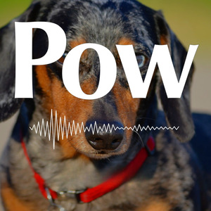 Pow