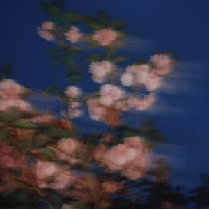 无法坠入爱河(Punk Version)