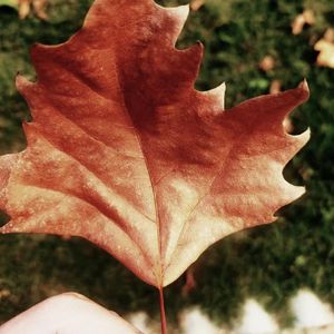 芜（Prod.by CuD）