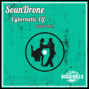 Cybernetic Elf (Original Mix)
