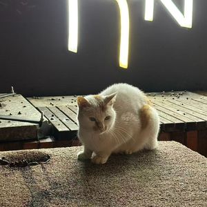 绝对占有相对自由