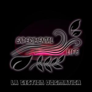 Las Programadoras Abstractas