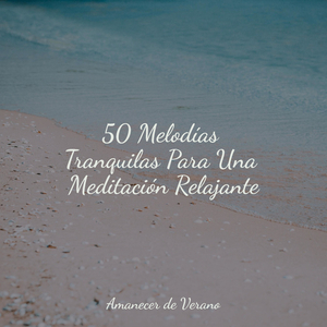 Encantadoras Mareas Llaman