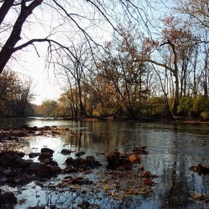 抚慰的松弛回忆