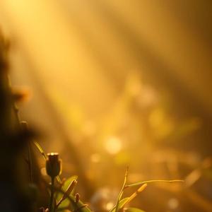 Nostalgic Subway Coffee