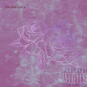 Stupid Love