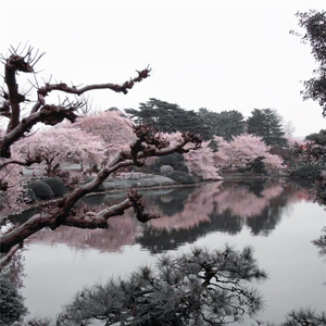 不再去打扰