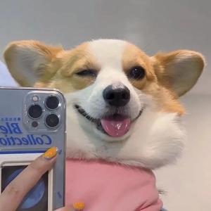 Byte&Move to The Rhythm（DJ Airily remix）