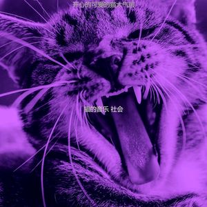 微妙的小猫心情