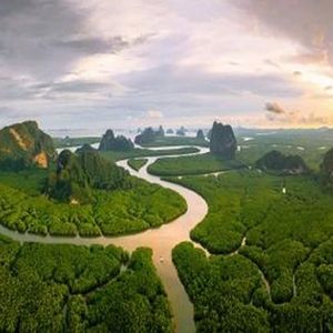 迷幻慢摇之音