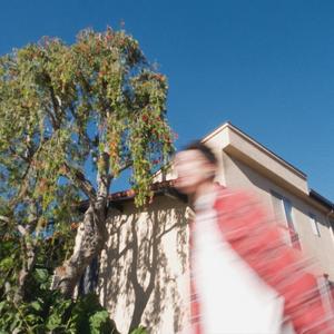 permanence