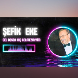 Gel Desen Hiç Gelmezmiyim