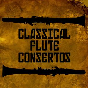 Flute Concerto No. 2 in D Major, K.314: I. Allegro aperto