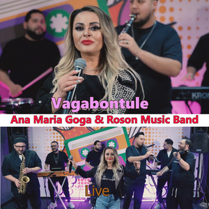 Vagabontule (Live)