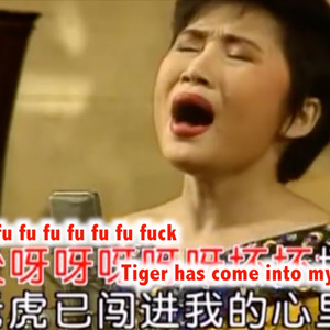 女人是老虎英文版（Cover 李娜）