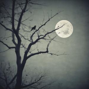 បេះដូងកំព្រា by @viechgnom