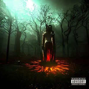 tears of blood｜血泪