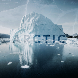 Arctic
