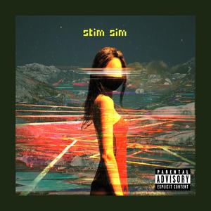 stim sim (what am i in?)